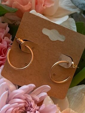 Rose Gold Mini Hoop Earrings